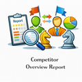 Competitor Overview Report